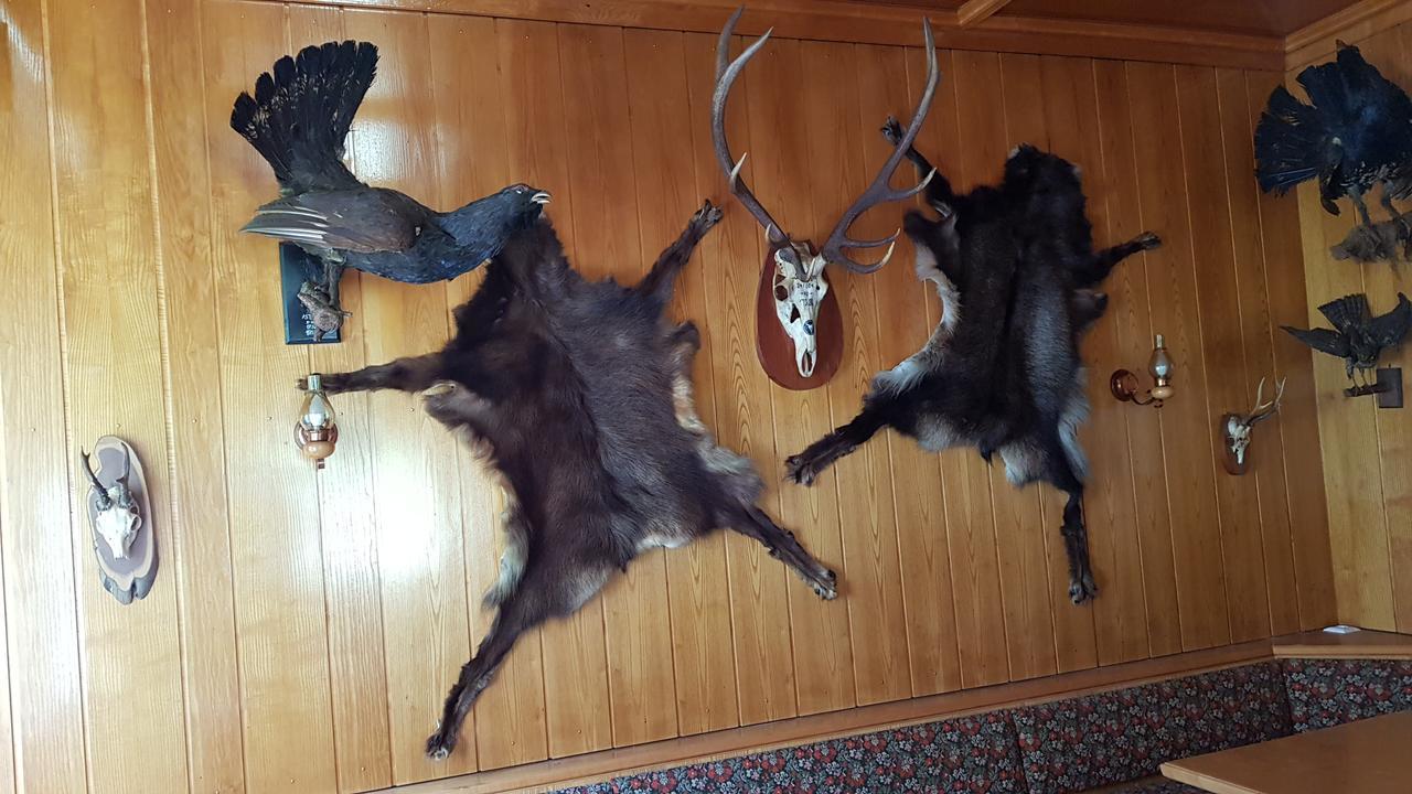 Gasthof Fair Mörtschach Εξωτερικό φωτογραφία